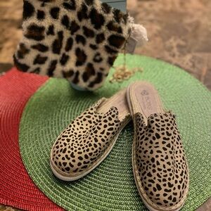 Sketchers Bobs in a size 5 ❤️